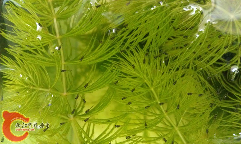IMAG0591_副本.jpg