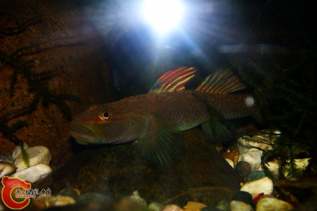 conew_imag0045.jpg