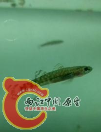 360截图20130510011708129.jpg