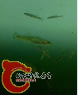 TARISDU7X4LQ7%((~7LK9(7.jpg