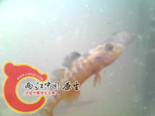 IMG_20130510_195607.jpg