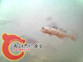 IMG_20130510_195551.jpg