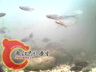 IMG_20130510_195543.jpg