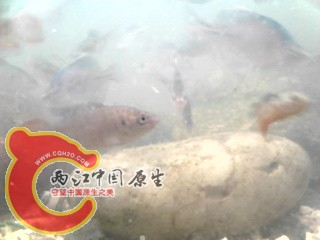 IMG_20130510_195529.jpg