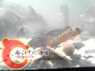 IMG_20130510_195517.jpg
