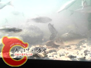 IMG_20130510_195725.jpg
