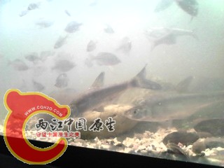 IMG_20130510_195735.jpg