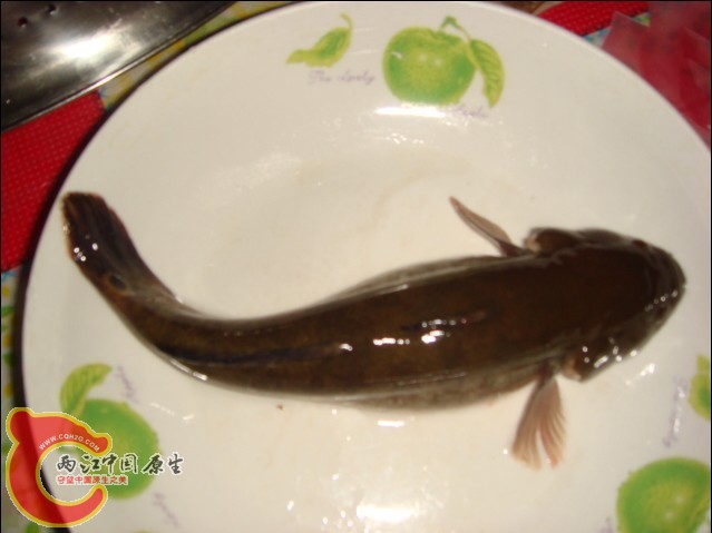 b.jpg