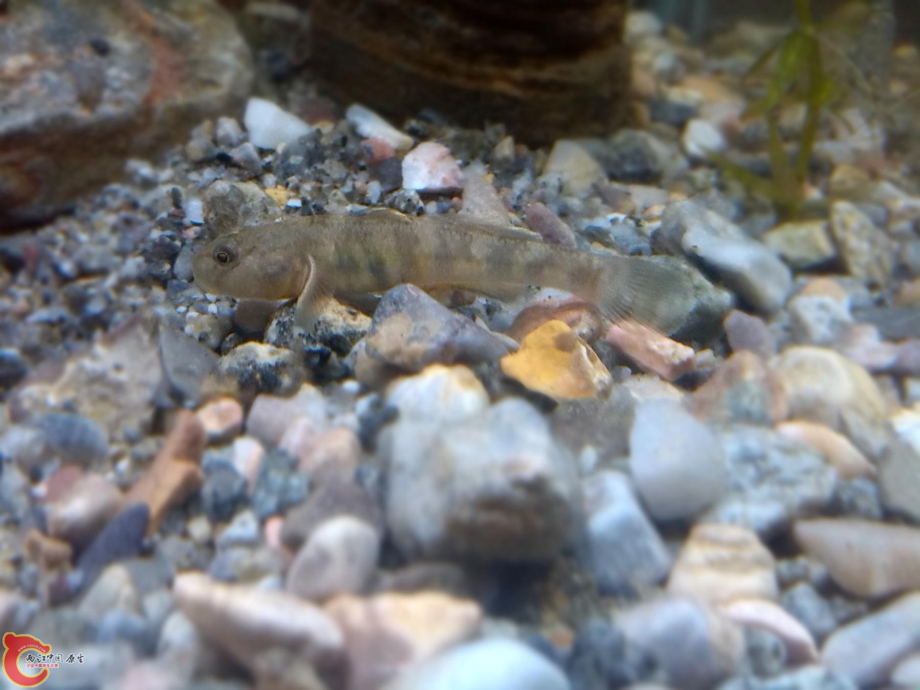 IMG_20130515_223316.jpg