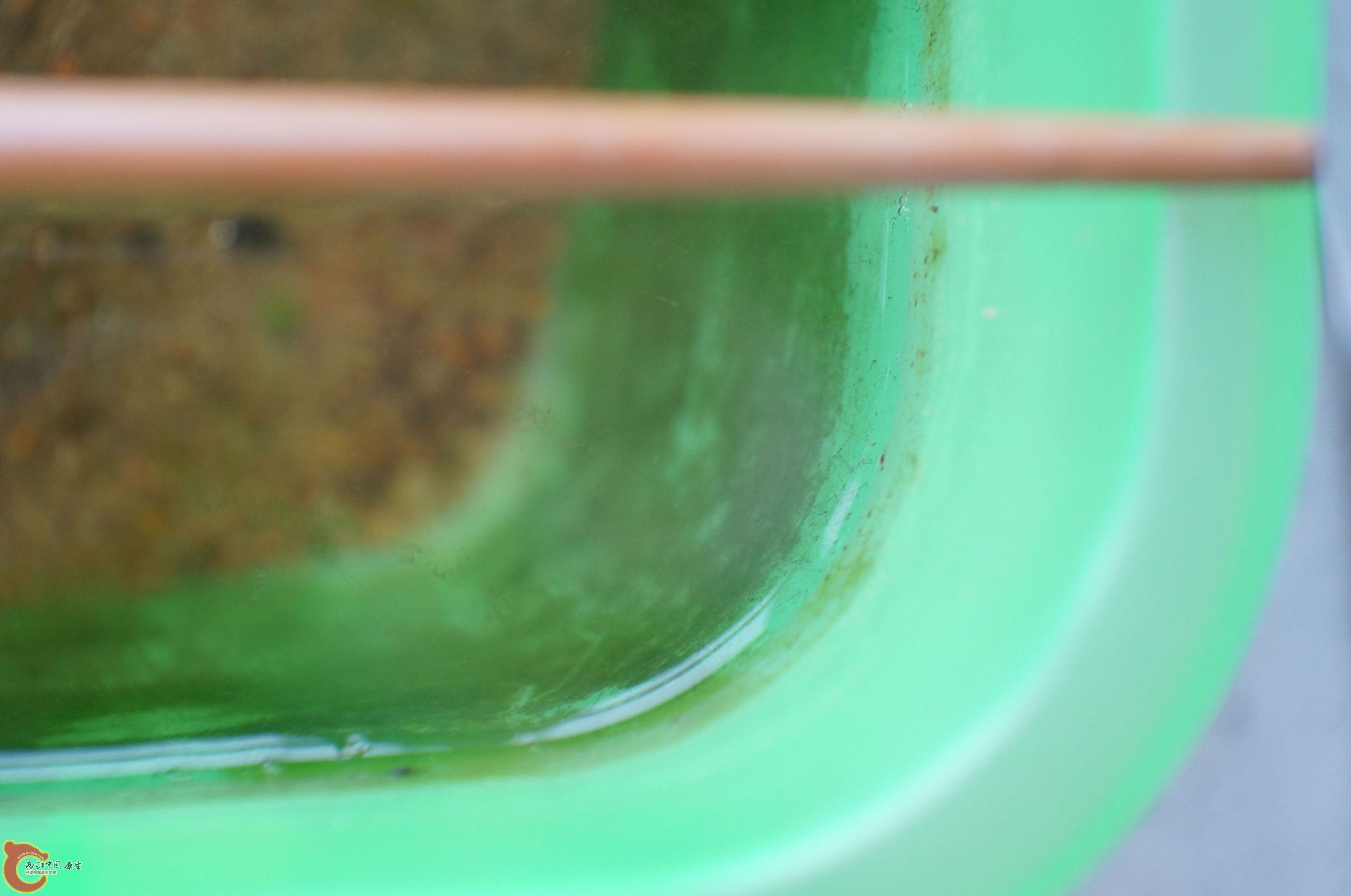 DSC00587_副本.jpg