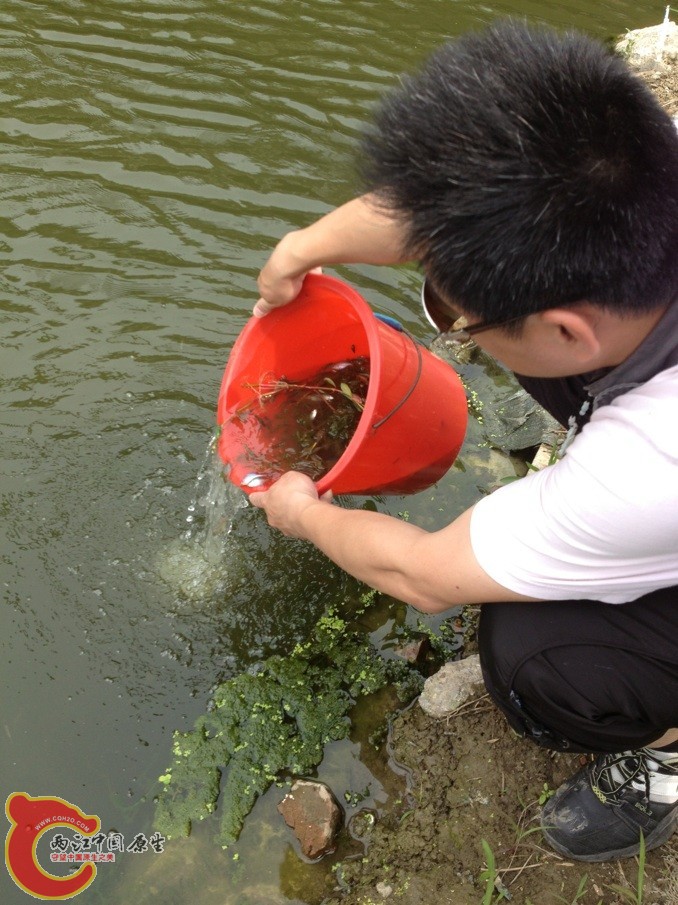 脑中冒出了“随喜赞叹”一词。。。