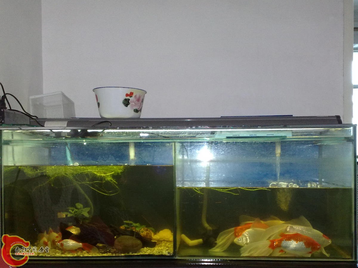 201305278141.jpg
