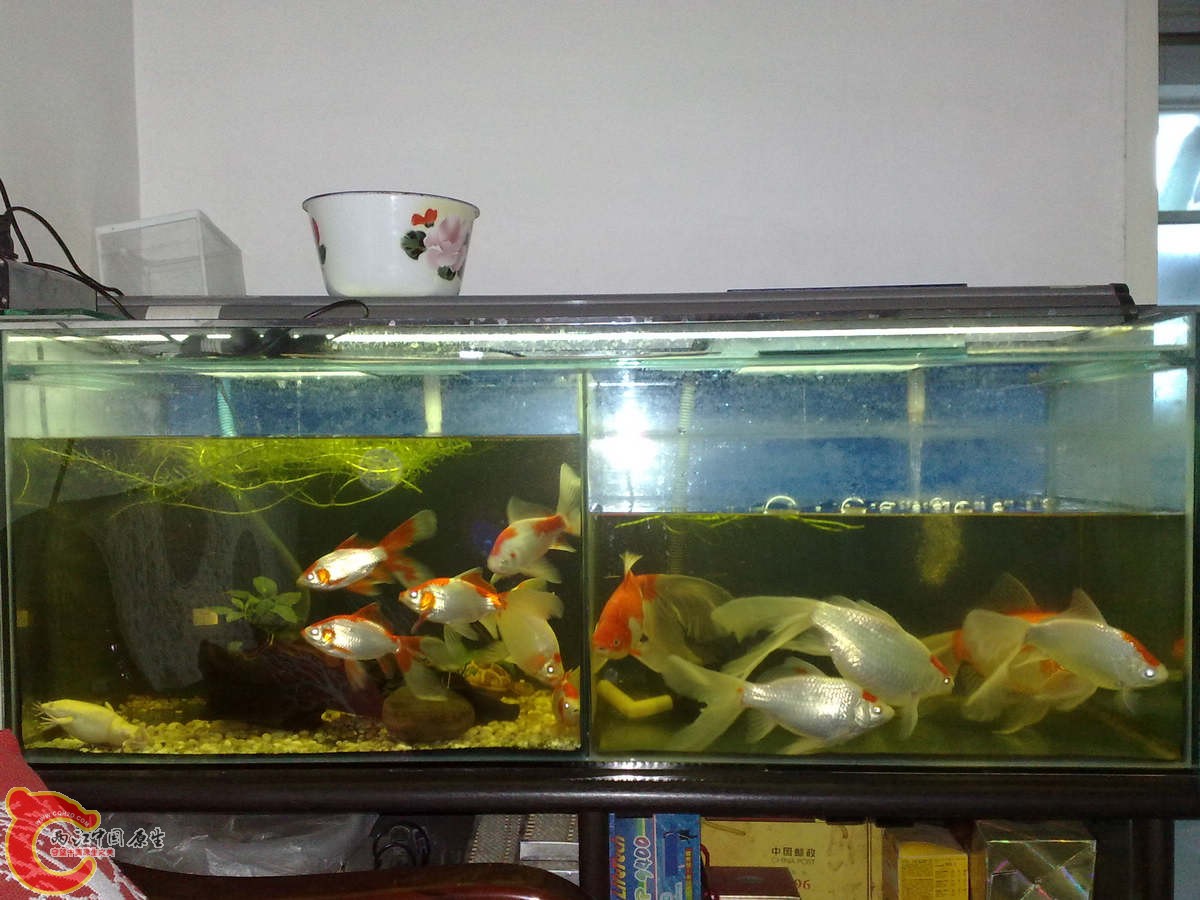 201305278142.jpg