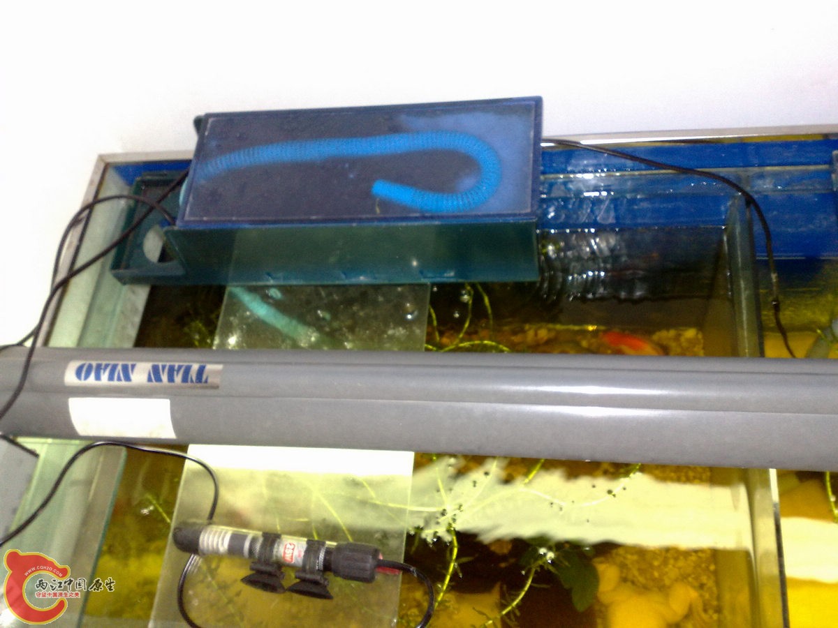 201305288147.jpg