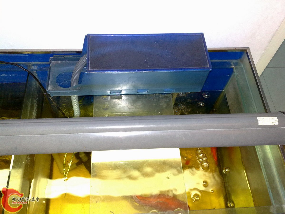 201305288148.jpg