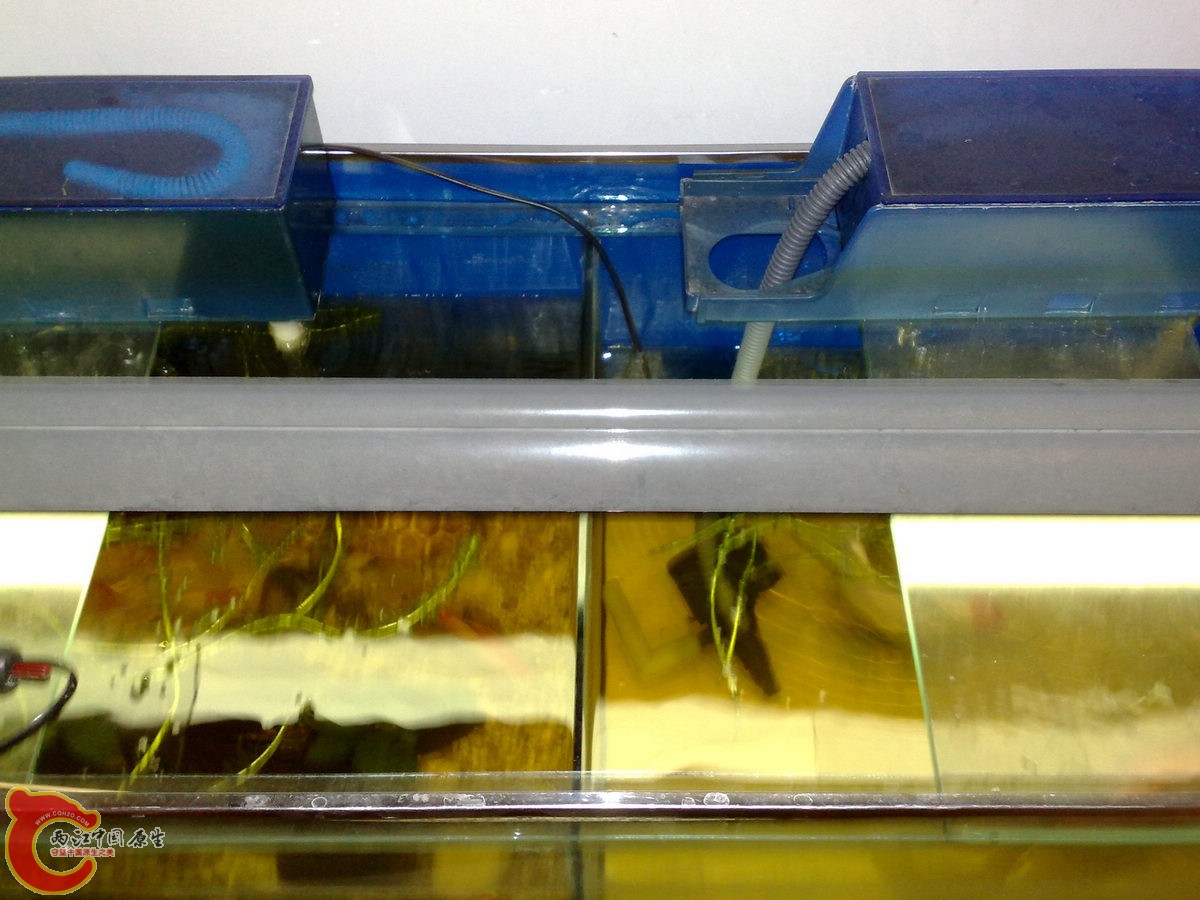 201305288149.jpg