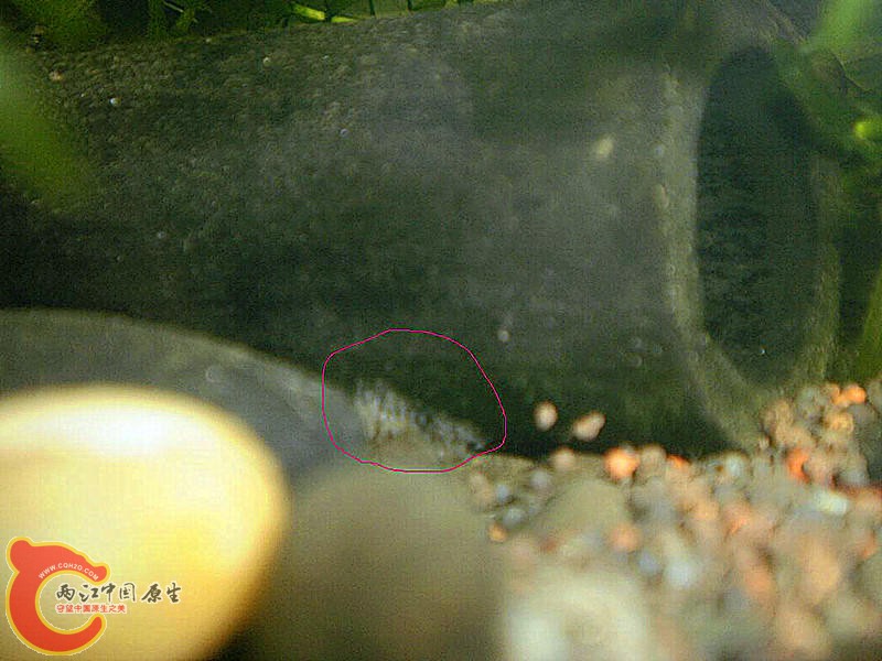 PA163319_副本.jpg
