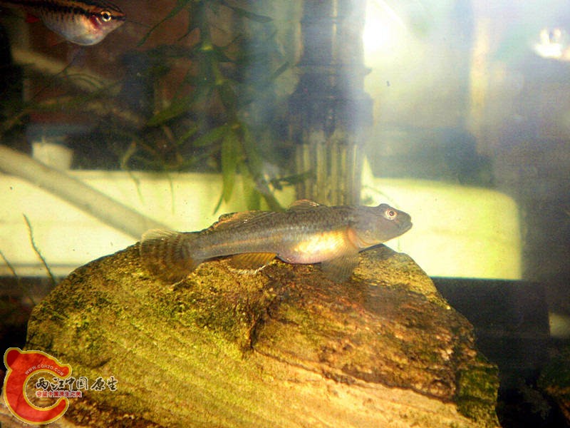 PA163326_副本_副本.jpg