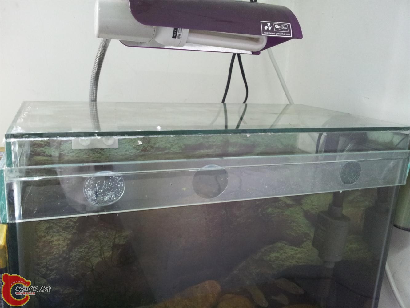 20130601_144142.jpg