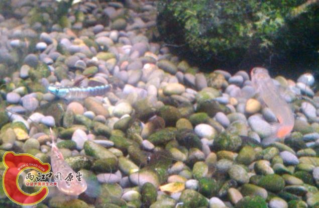 IMG_20130602_111648_9120031.jpg