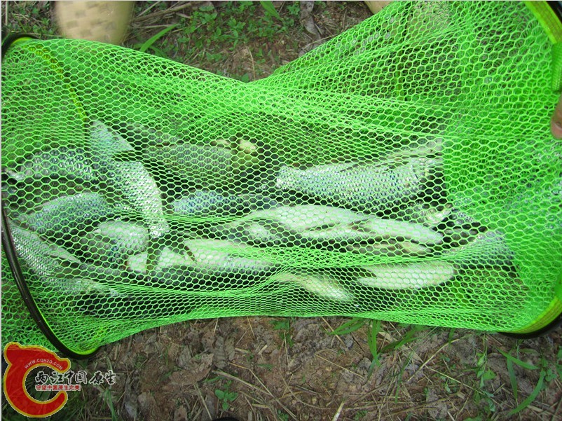 QQ图片20130602230737.jpg