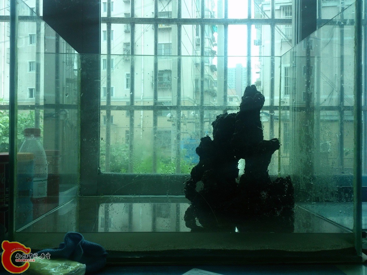 DSC_0432_3238156_副本.jpg
