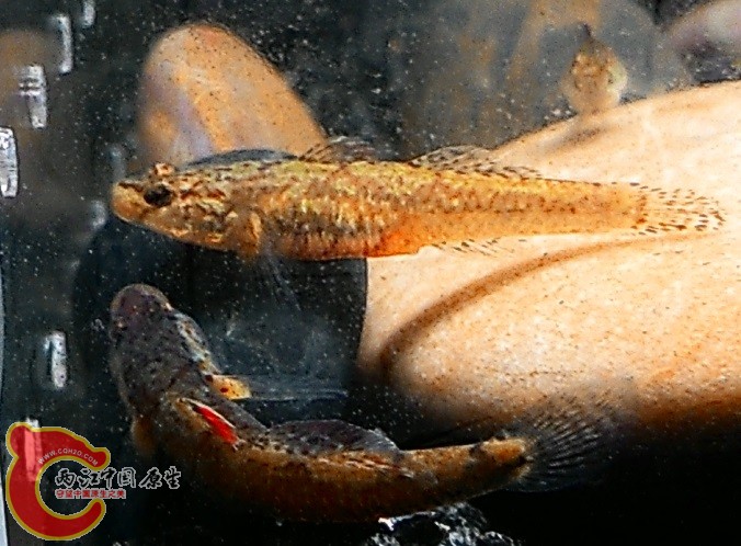 {5D457A28-E86A-4FC2-906D-F868410CEF6C}.jpg