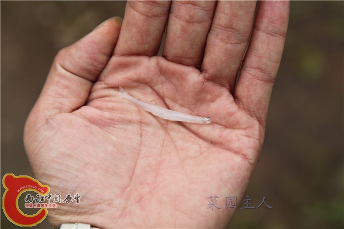照片 034.jpg