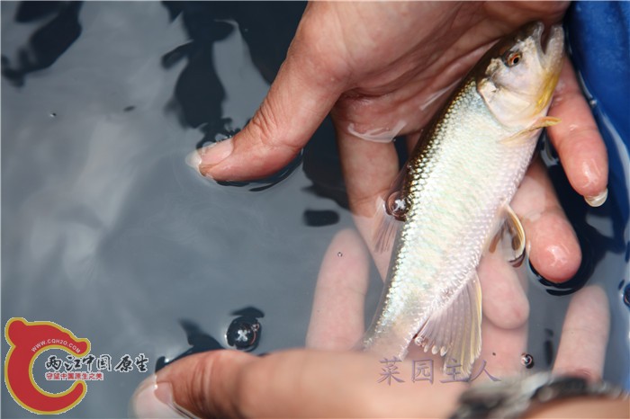 照片 147.jpg