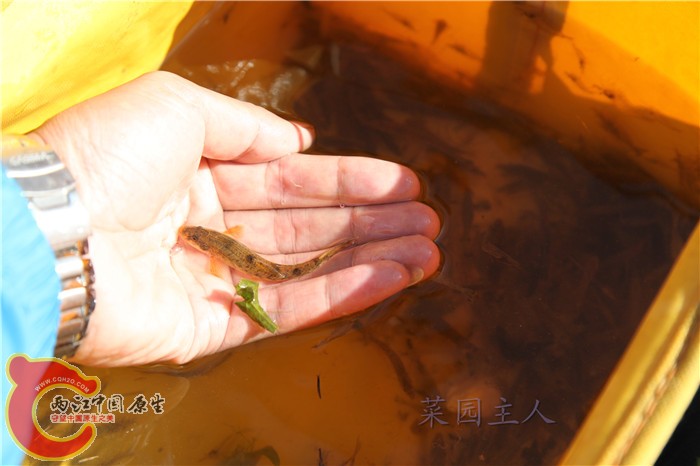 照片 406.jpg