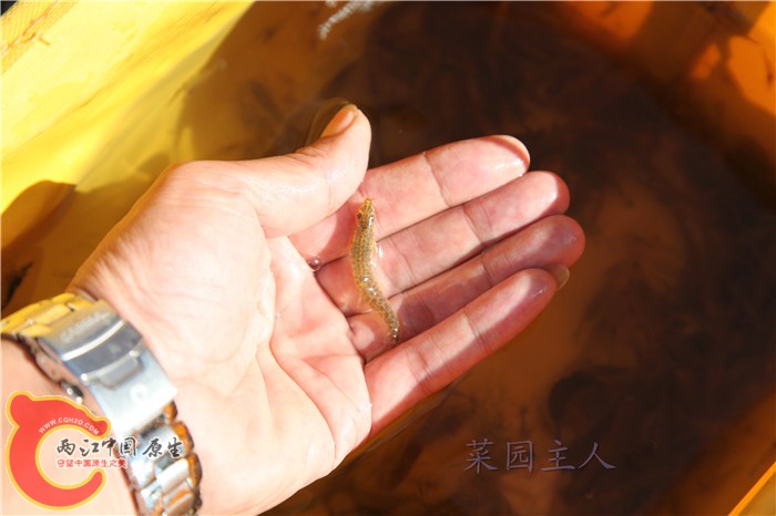 照片 409.jpg