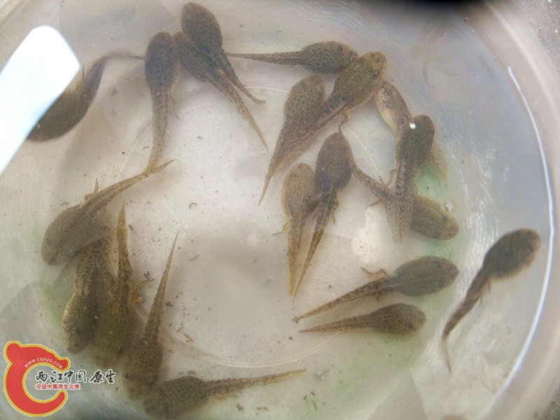 100_7258_副本.jpg