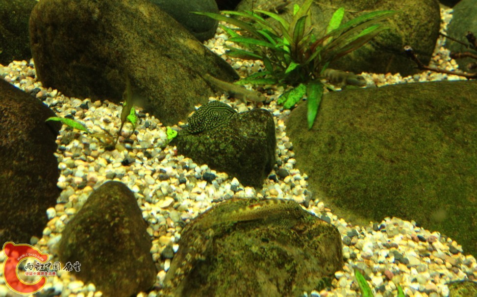 QQ图片20130620093625.jpg