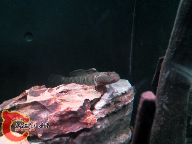 IMG_20130422_002528.jpg