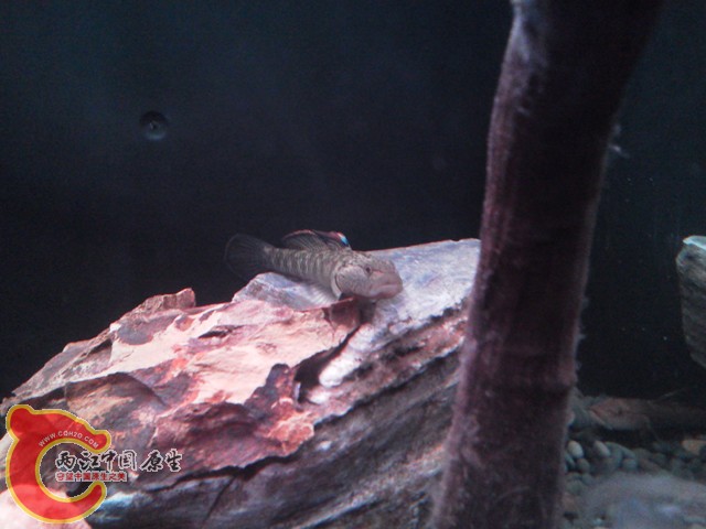 IMG_20130422_002502.jpg
