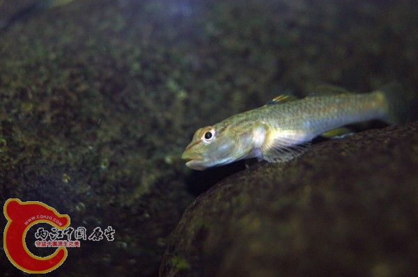 DSC06403_副本.jpg