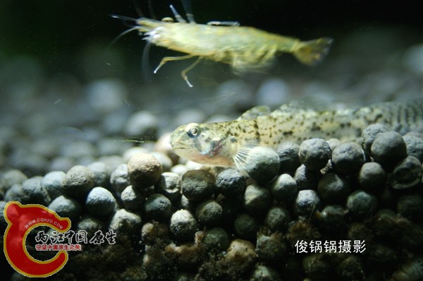 DSC06749_副本.jpg