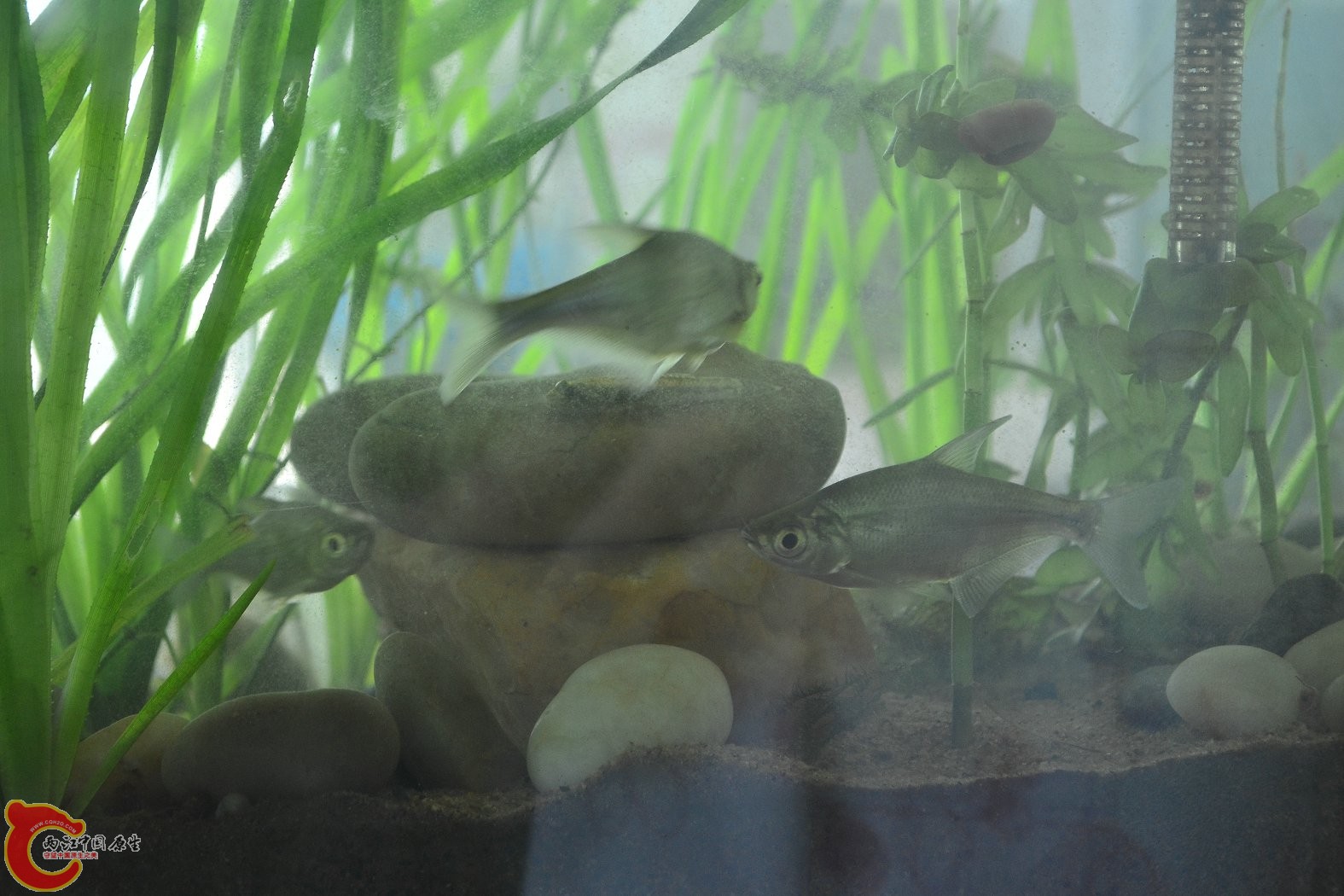 20130705-2046.JPG