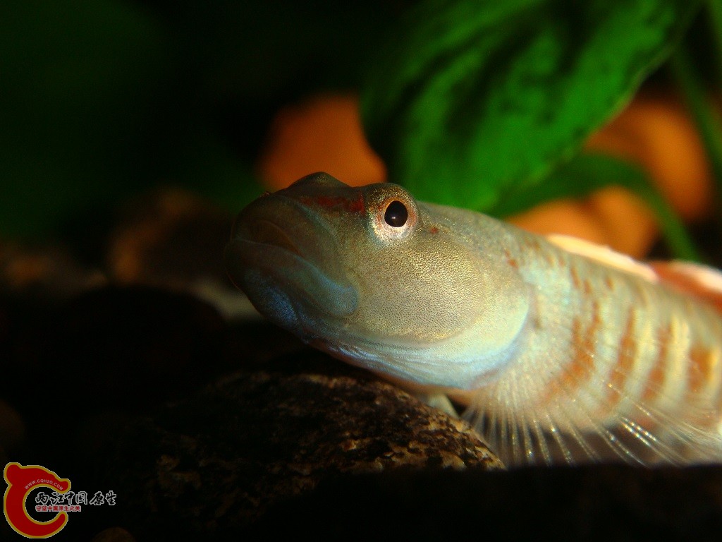 DSC03265.JPG