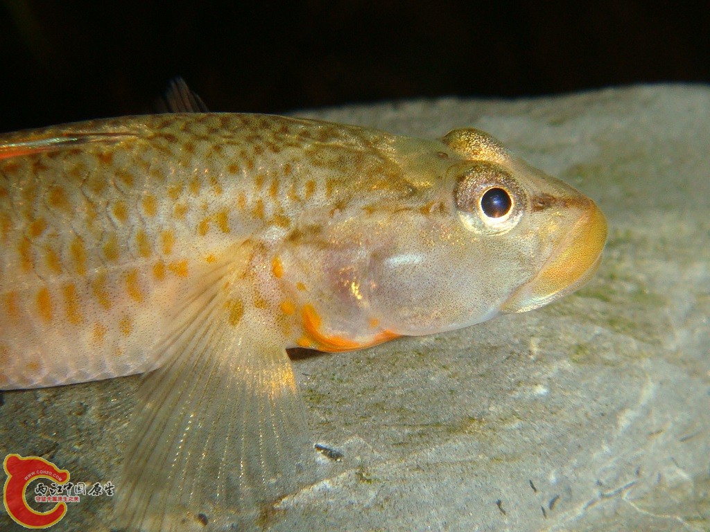 DSC03276.JPG