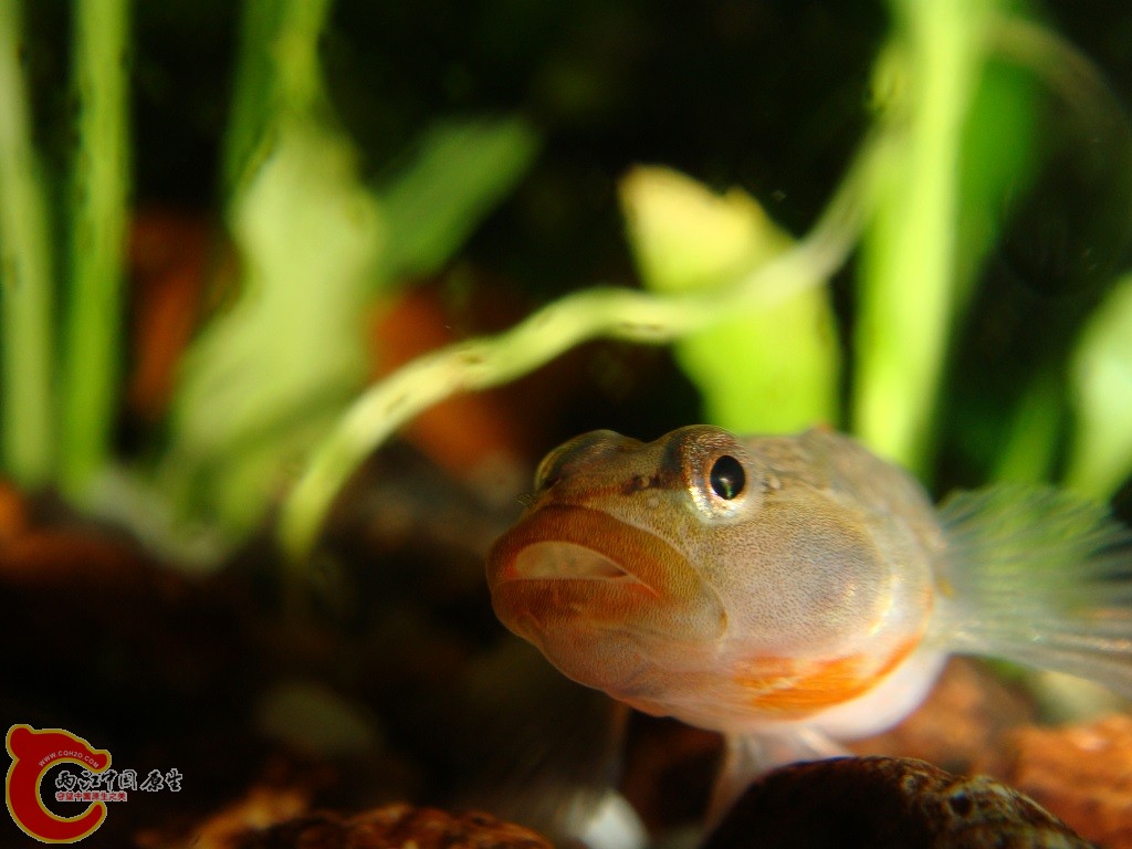 DSC03280.JPG