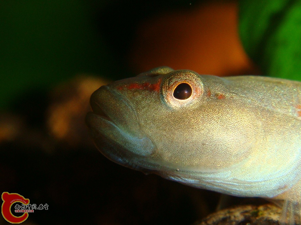 DSC03281.JPG