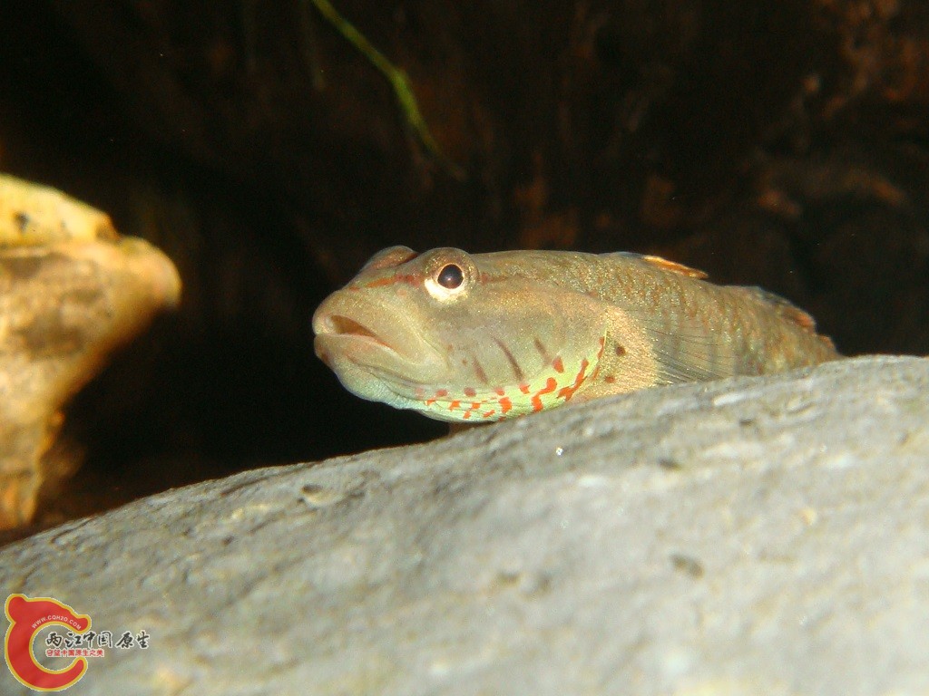 DSC03283.JPG