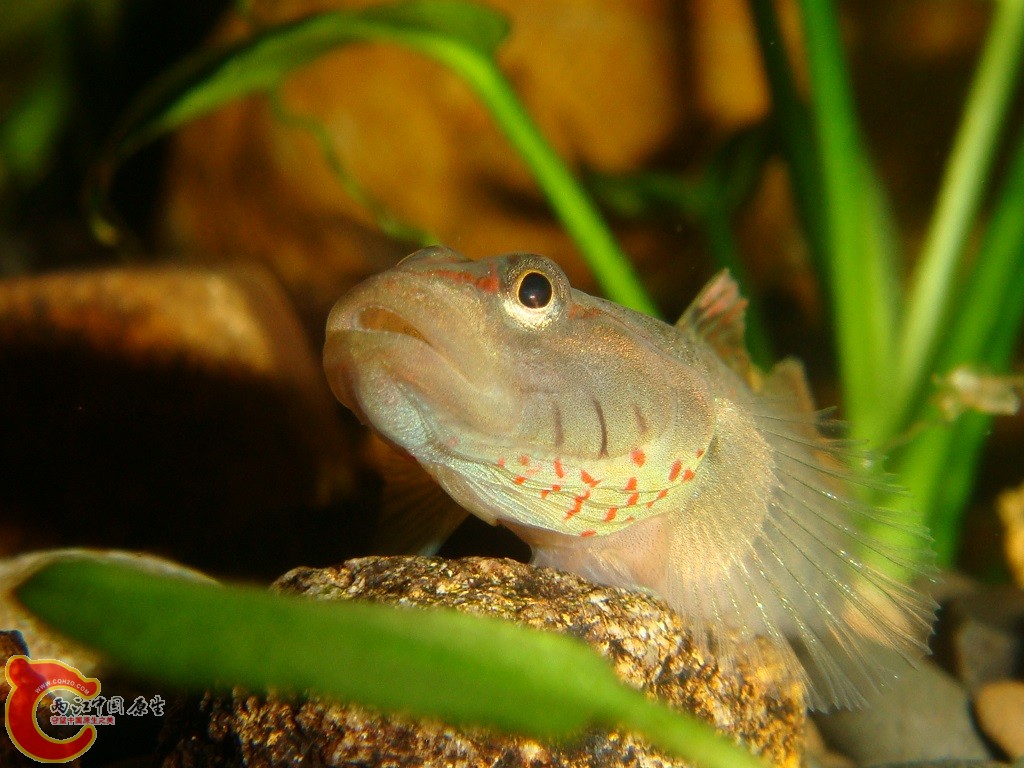 DSC03286.JPG