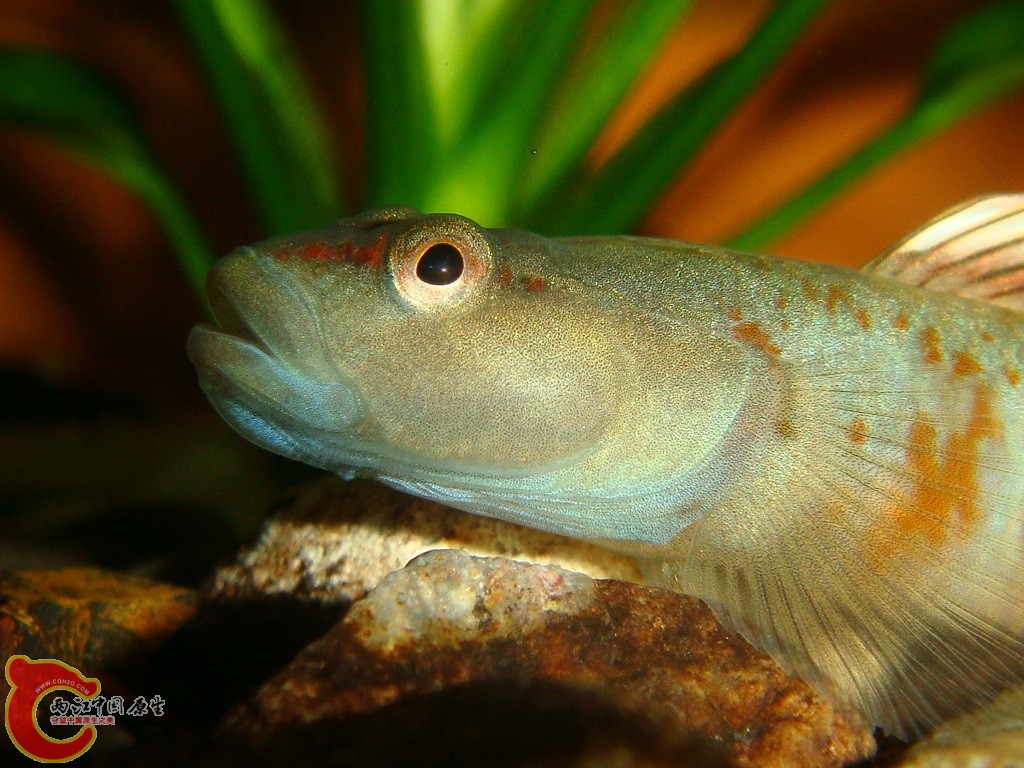 DSC03287.JPG