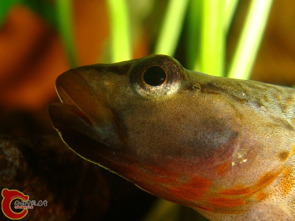 DSC03289.JPG