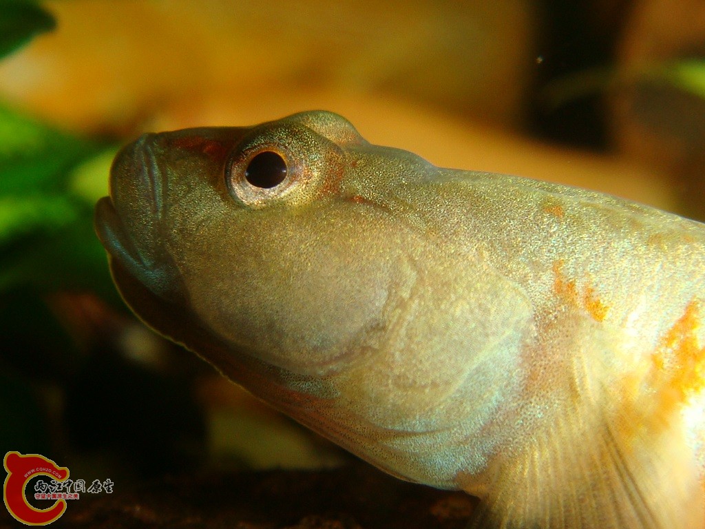 DSC03293.JPG