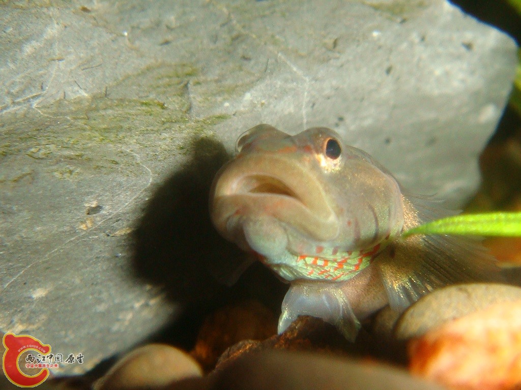 DSC03305.JPG