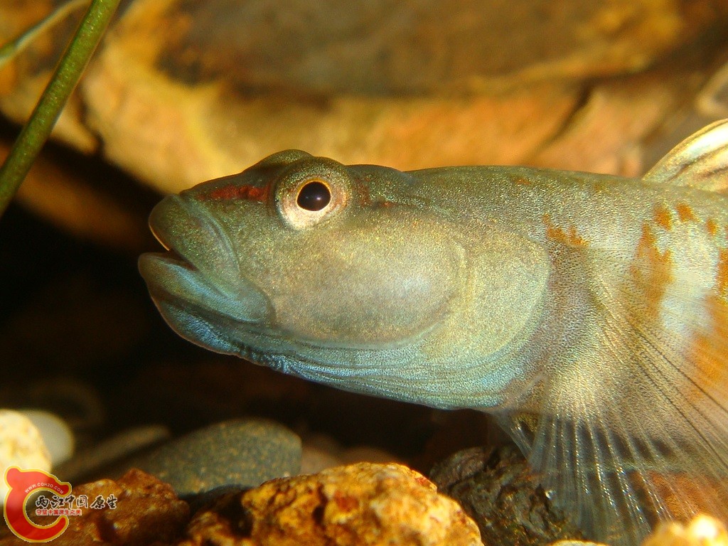 DSC03307.JPG