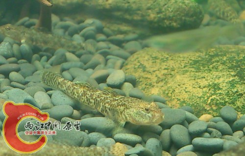 QQ图片20130712002910.jpg